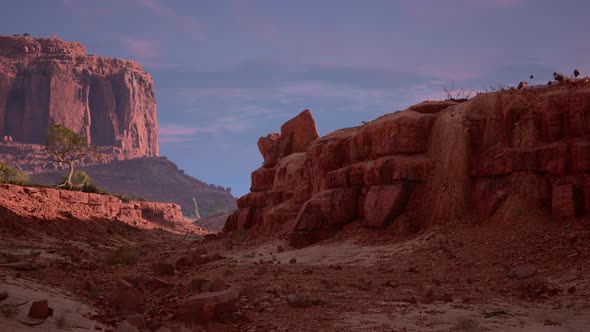 Brachiosaurus Sauropod Walks Down Through the Canyon in the Desert