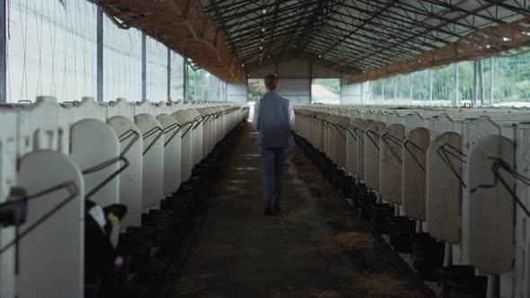 Woman Checking Cattle Shed at Countryside Rear View