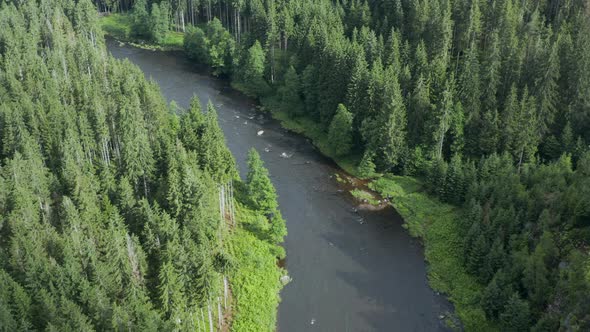 Aerial view of Schwarzer Regen river through forest, Bavaria, Germany