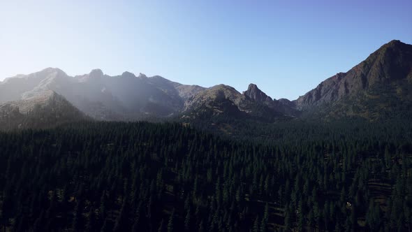 Aerial View Over Mountain Range with Pine Forest in Bavaria