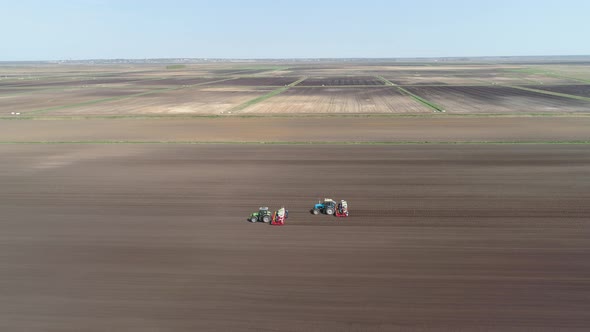 Growing Salad on the Farm Field