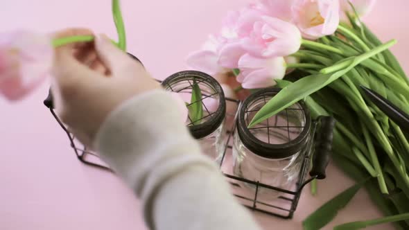 Time-lapse. Light pink tulips on a pink background