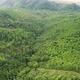 Aerial view of an isolated settlement and forest on a high hill - VideoHive Item for Sale