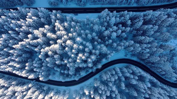 Roads In Snowy Winter Forest - bird's eye view