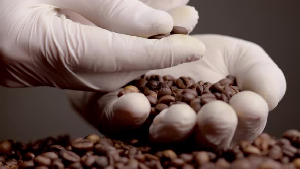 Hands Checking Quality Coffee Grains Closeup