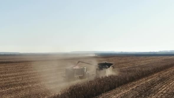 Combines and Tractors Working on the Large Corn Field