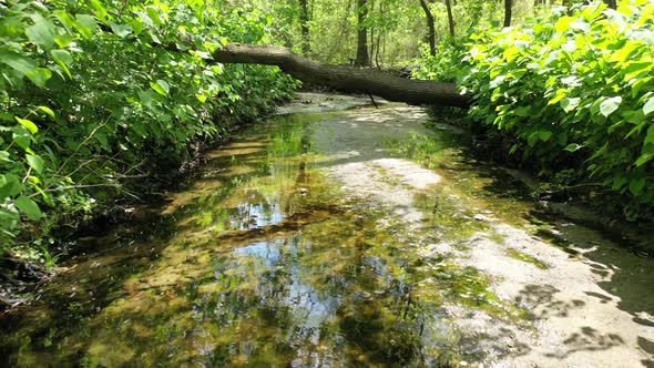 A low angle shot over & along a shallow stream on a sunny day with a drone. The camera dolly in over