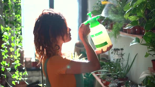 African Woman Spray Plant in Garden Spbd