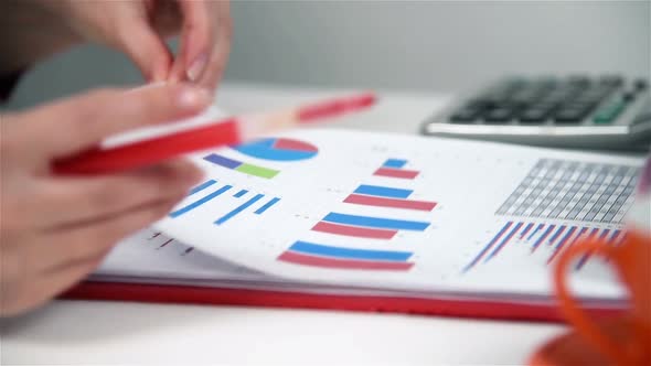 Trader Woman  Working In Office