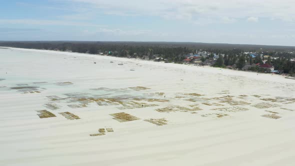 Drone Video of an Algae Farm in the Indian Ocean with a Coastline