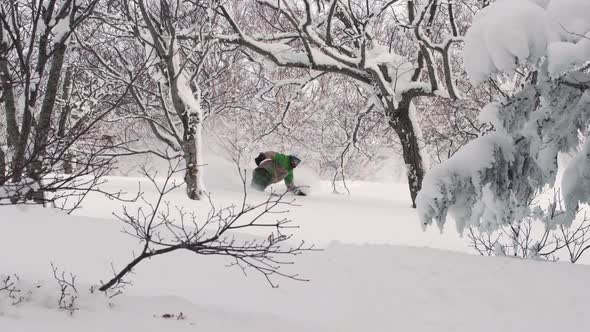 Snowboarding Powder Snow In Niseko Hokkaido Japan Forest Trees