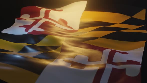 Maryland State Flag Low Angle View