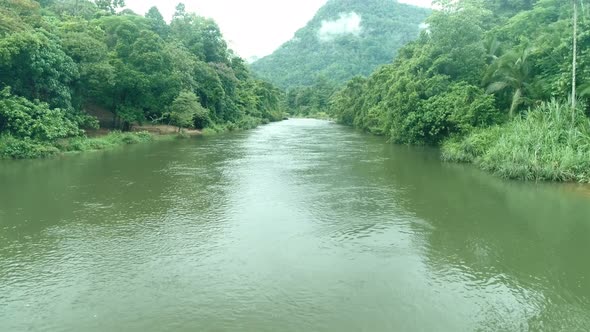 Flying Down A Green Forest River