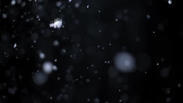 Snowflakes Falling at Night