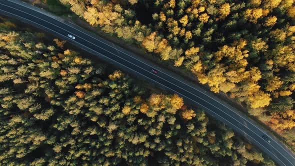 Aerial View of a Highway in an Autumn Forest with Moving Cars