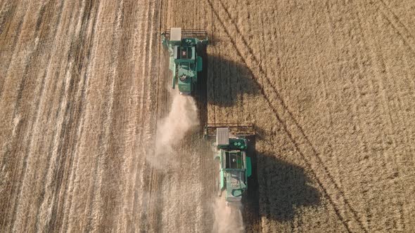 Aerial View on the Harvesters Working on the Large Wheat Field. Harvesting Agricultural Golden Ripe