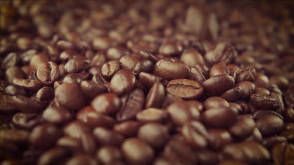 Coffee Beans Closeup