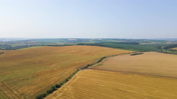 Aerial Landscape View of Yellow Cultivated Agricultural Field with Dry Straw of Cut Down Wheat After