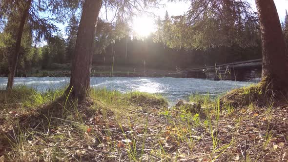 Meadow at Mountain River Bank