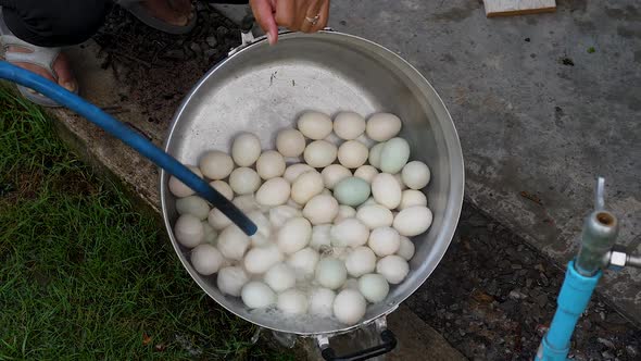 Motion shot person washing outdoors big pan full of duck eggs with water hose