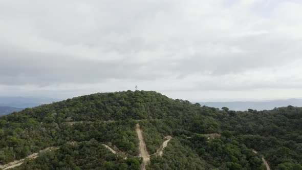 Flight above green forest with dirt trails to top of hill to reveal picturesque expansive countrysid