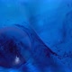Movement Of Oily Blue Liquid In Water - VideoHive Item for Sale