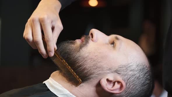 Male Barber Combing Beard at a Barber Shop