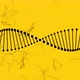 Dna Strand and Plexus - Yellow - VideoHive Item for Sale