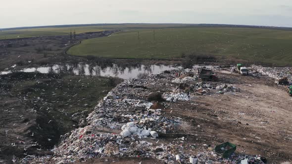 Aerial View on City Garbage Dump with Flocks of Birds