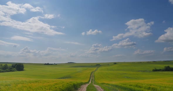 White Clouds In The Blue Sky Move Quickly Over The Wheat Field