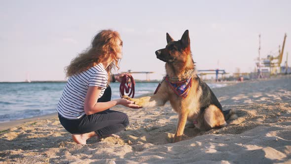 Happy Young Woman Playing with Her German Shepherd Dog Outdoor on the Beach Slow Motion