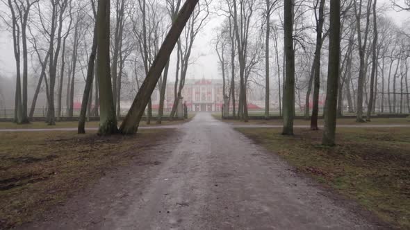 long dirt road in the forest with castle at the end with fog and bad weather