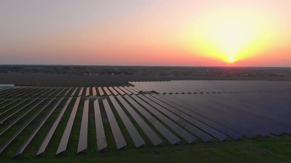 Aerial Drone View Into Large Solar Panels at a Solar Farm at Summer Sunset. Solar Cell Power Plants