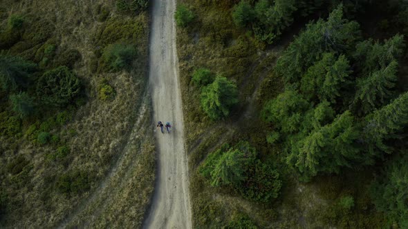 Drone People Forest Trekking Among Green Spruce Trees Exploring Nature Land