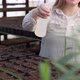 Woman Sprays Pots with Earth in Which Seedlings Grow with Water From a Spray Gun - VideoHive Item for Sale