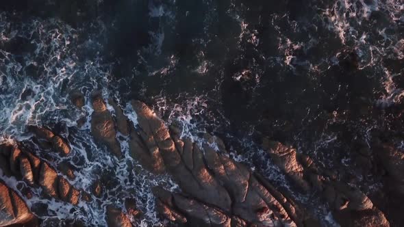 Seals sunbathing on rocks aerial