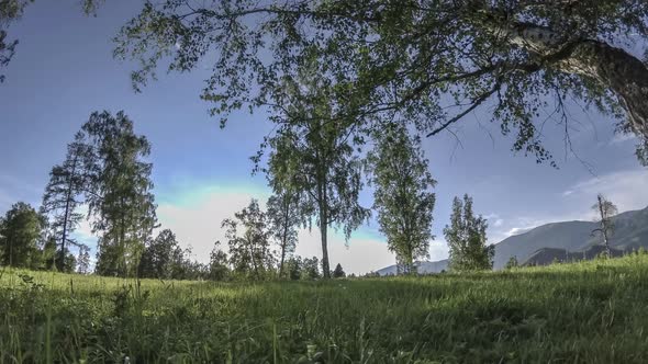 Mountain Meadow Timelapse at the Summer or Autumn Time