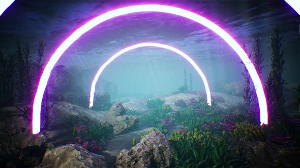 Purple Circle Led Light Underwater Aquarium 4K