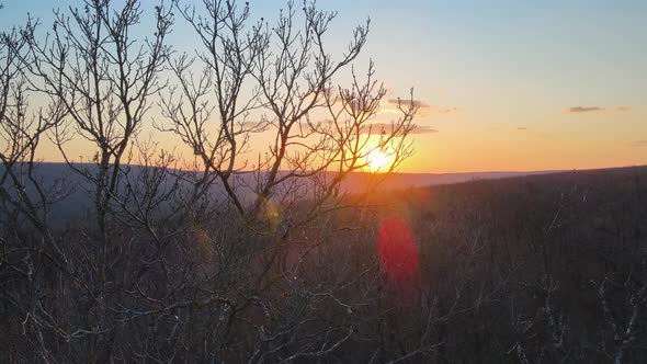 Aerial View of the Beautiful Autumn Forest at Orange Sunset