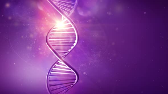 Rotating Model Of DNA Strand On A Purple Background 4K alt