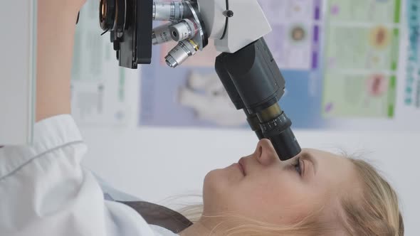 Female Veterinarian Making Blood Test Indoors