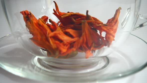 Flower tea from lily petals.