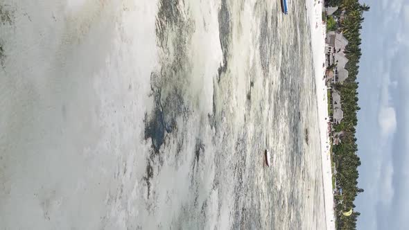 Vertical Video of Low Tide in the Ocean Near the Coast of Zanzibar Tanzania Aerial View