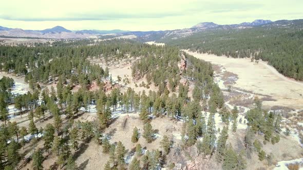 Aerial view of Pikes National Forest in the Winter