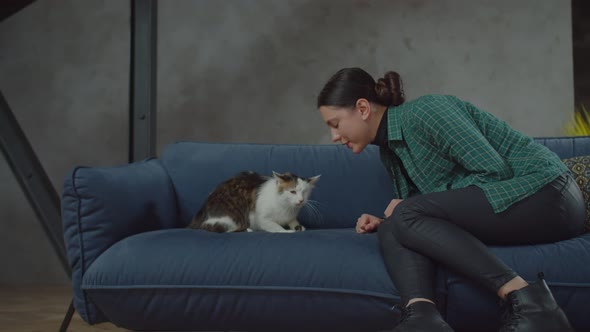Owner Gently Head Bumping Cute Cat with Injured Eye