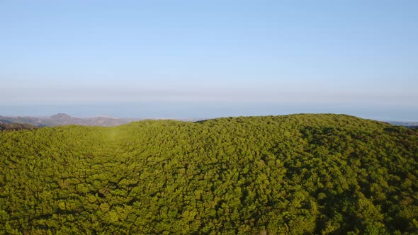 Aspromonte mountain Park in Calabria