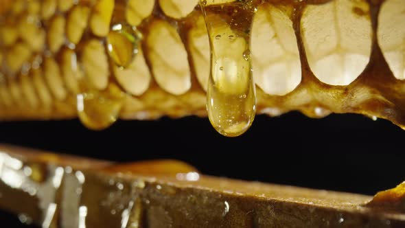 Thick Golden Honey Flowing and Spills Over Wooden Frame with Honeycombs