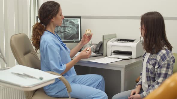 Female Orthodontist Showing Jaw Impression to Patient