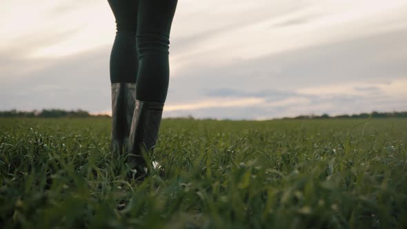 Farmer Goes with Rubber Boots Along Green Field. Rubber Boots for Work Use. A Worker Go with His