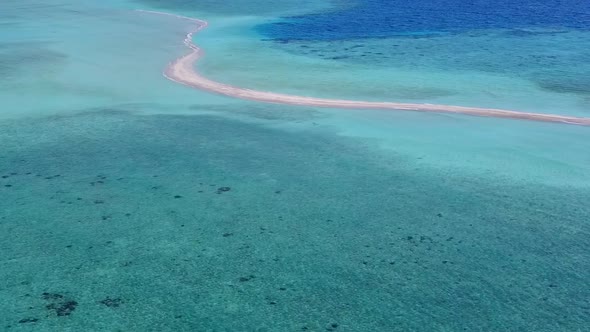 Aerial drone travel of marine island beach wildlife by blue lagoon and sand background